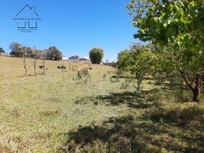 Terreno, 2 hectares - Foto 4