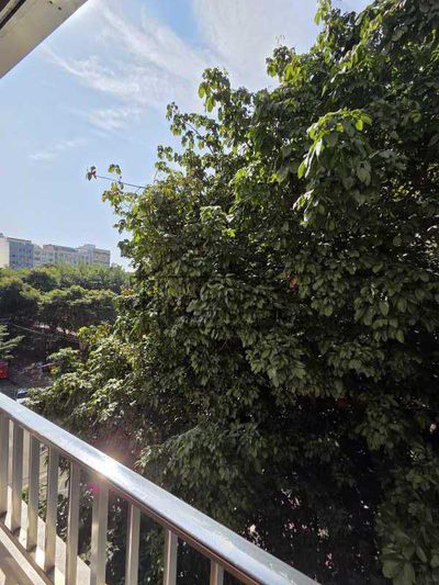 Apartamento, 3 quartos, 98 m² - Foto 4