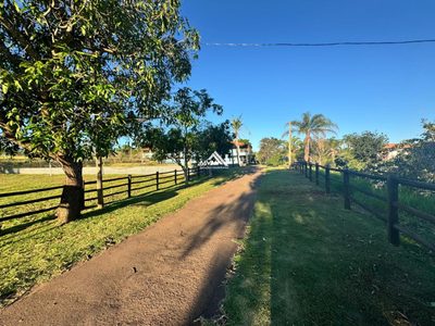 Chácara, 28 hectares - Foto 4