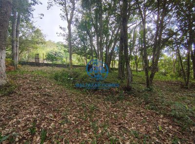 Terreno, 5000 m² - Foto 2