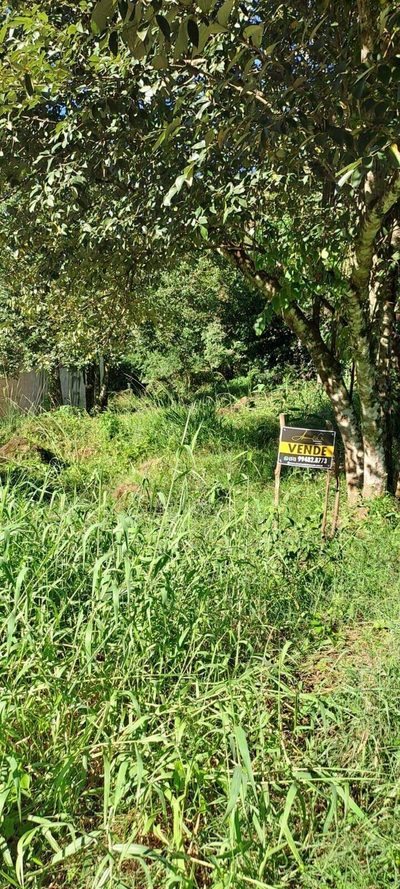 Terreno, 340 m² - Foto 4