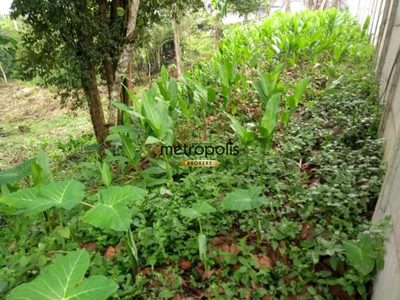 Terreno, 250 m² - Foto 5