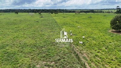 Fazenda, 310 hectares - Foto 2
