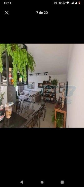 Apartamento - Foto 4