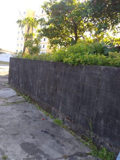 Terreno, 300 m² - Foto 3