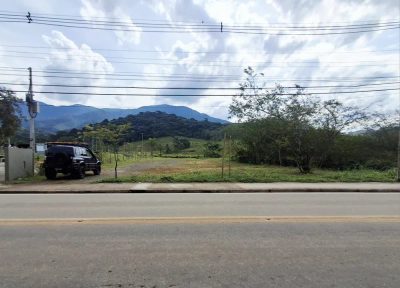 Terreno, 3 hectares - Foto 4