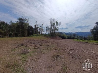 Sítio, 2 hectares - Foto 1