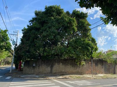 Terreno, 336 m² - Foto 1