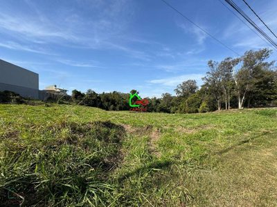 Terreno, 10000 m² - Foto 5