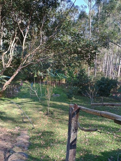 Chácara, 3 quartos, 300 m² - Foto 5