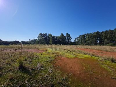 Terreno, 3 hectares - Foto 2
