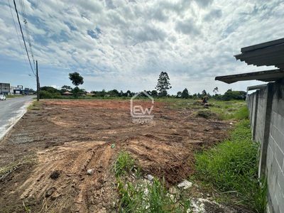 Depósito-Galpão, 2460 m² - Foto 2