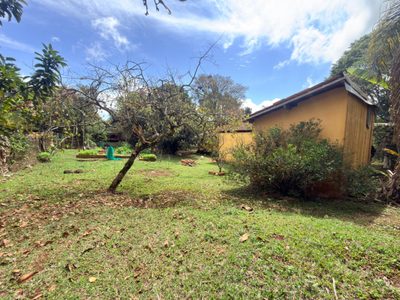 Terreno, 5000 m² - Foto 4