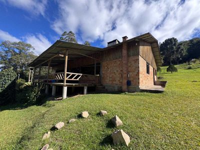 Chácara, 6 quartos - Foto 3