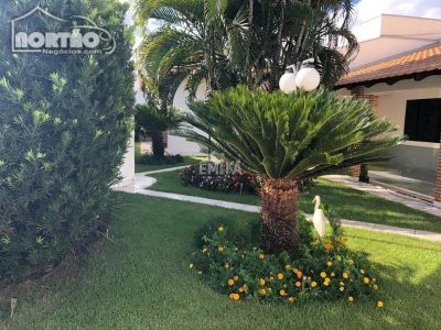 Casa, 5 quartos, 600 m² - Foto 4