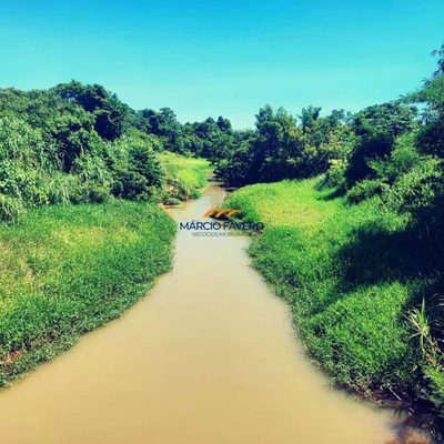 Fazenda, 237 hectares - Foto 4