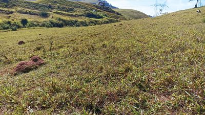 Terreno, 200 m² - Foto 4