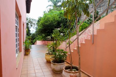Casa, 4 quartos - Foto 5