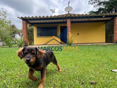 Sítio, 2 quartos, 2900 m² - Foto 5