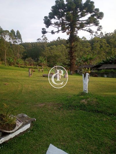 Sítio, 3 quartos, 7 hectares - Foto 3