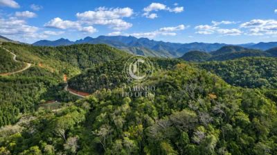 Terreno, 5000 m² - Foto 5
