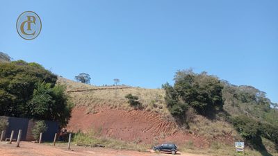 Terreno, 5 hectares - Foto 4