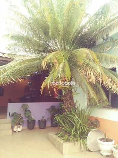 Casa, 3 quartos, 182 m² - Foto 2