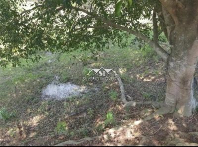 Fazenda, 6 hectares - Foto 2