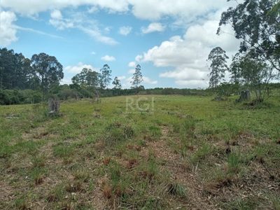 Sítio, 3 quartos, 12 hectares - Foto 3