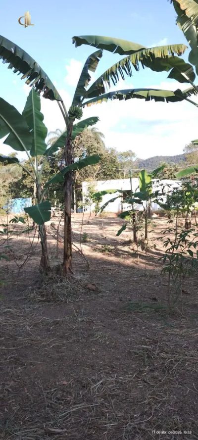 Casa de Condomínio - Foto 1