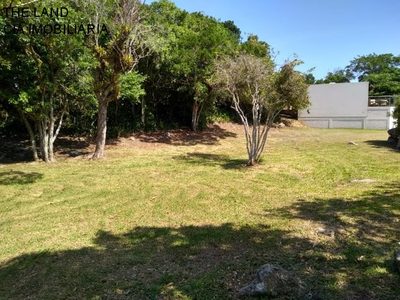 Terreno, 565 m² - Foto 3