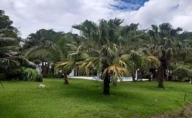 Sítio, 4 quartos, 16 hectares - Foto 2