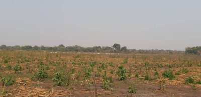 Fazenda, 342 hectares - Foto 2