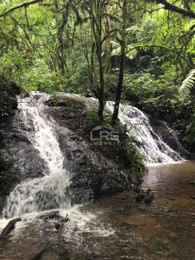 Chácara, 1 quarto, 2 hectares - Foto 4