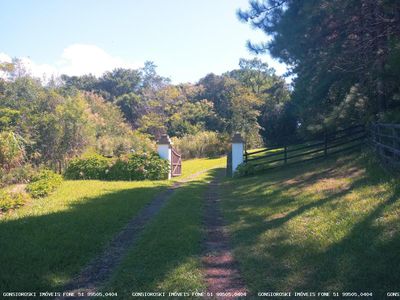 Fazenda, 80 hectares - Foto 2
