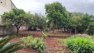 Terreno, 800 m² - Foto 3