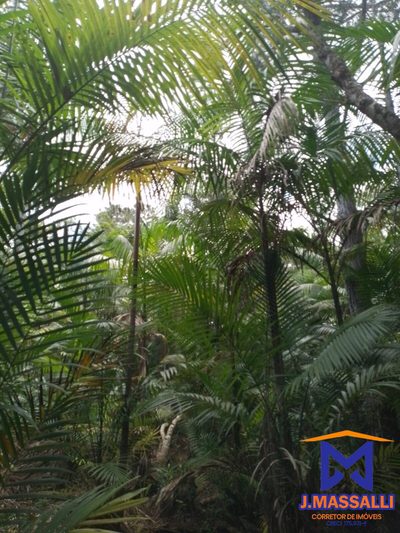 Sítio, 2 quartos, 10 m² - Foto 4