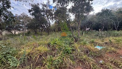 Terreno, 4740 m² - Foto 4