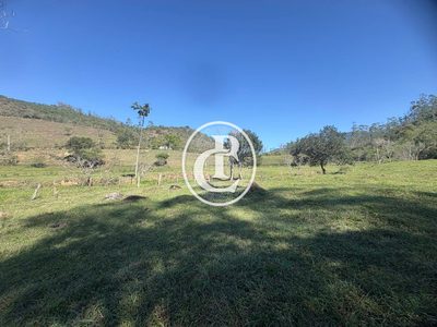 Sítio, 1 quarto, 50 m² - Foto 1
