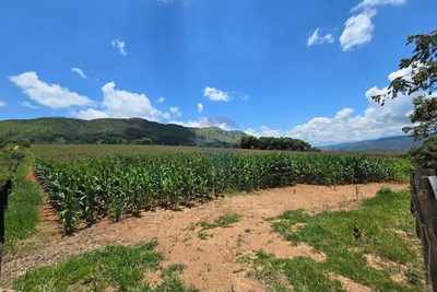 Sítio, 1 quarto, 45 hectares - Foto 5