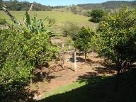 Chácara, 3 quartos - Foto 4