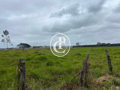 Terreno, 2 hectares - Foto 3