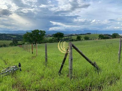 Terreno, 2 hectares - Foto 3
