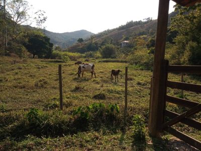 Terreno, 171 m² - Foto 4