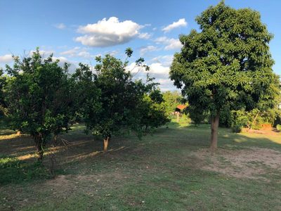 Chácara, 3 quartos, 2 hectares - Foto 5