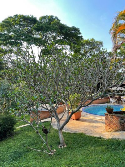 Casa de Condomínio, 5 quartos - Foto 3
