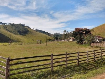 Fazenda, 46 hectares - Foto 3