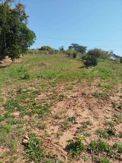 Terreno, 6300 m² - Foto 2