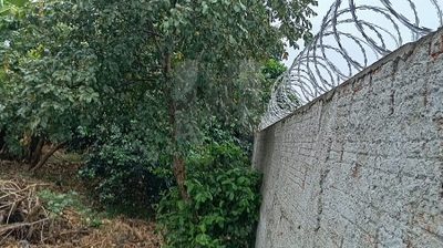 Terreno, 381 m² - Foto 2