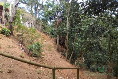 Sítio, 3 quartos, 2 hectares - Foto 4